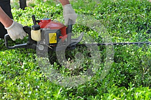 Mower grass cutter