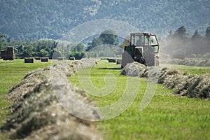 Mowing the grass