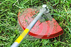 Mowing grass on the lawn closeup