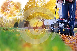 Mowing the grass with a lawn mower in sunny autumn. Gardener cuts the lawn in the garden