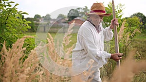 Mowing grass with an old scythe. Senior farmer to mow lawn traditionally. A man