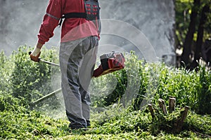 Mowing green grass with hand trimmer