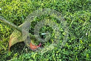 Mowing green wild grass field using brush cutter mower or power tool string lawn trimmer. To mow a grass with the trimmer.