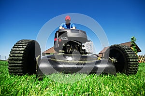 Mowing the lawn