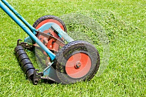 Mowing the lawn