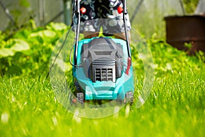 Mowing the lawn