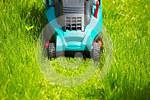 Mowing the lawn