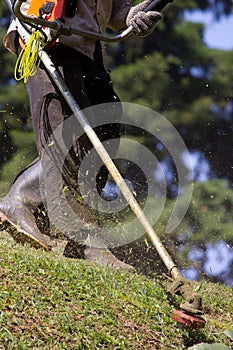 Mowing the Lawn