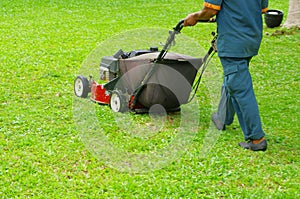 Mowing the lawn