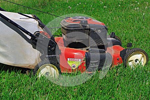 Mowing Lawn