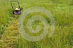 Mowing the Lawn