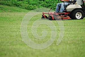 Mowing the lawn