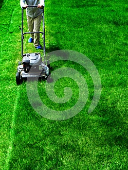 Mowing Lawn Grass