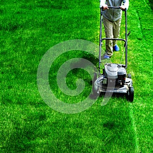 Mowing Lawn Grass Lush Green Landscaping Lawn Care