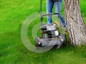 Mowing Lawn Grass