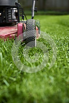 Mowing lawn. Low angle cutting grass