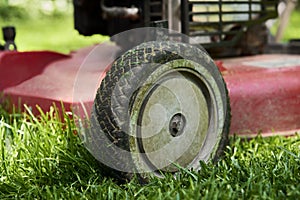 Mowing lawn. Low angle cutting grass