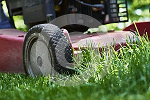 Mowing lawn. Low angle cutting grass