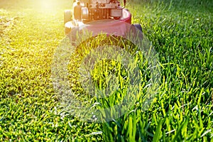 Mowing a lawn with a old style petrol gasoline lawnmower. Red lawn mower cutting grass . Gardening concept background