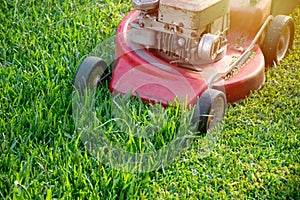 Mowing a lawn with a old style petrol gasoline lawnmower. Red lawn mower cutting grass . Gardening concept background