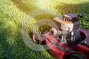 Mowing a lawn with a old style petrol gasoline lawnmower. Red lawn mower cutting grass . Gardening concept background