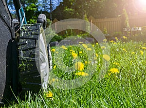 Mowing lawns. Lawn mower on green grass. Mower grass equipment. Mowing gardener care work tool. Close up view. Sunny day. Soft lig