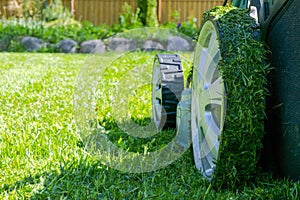 Mowing lawns. Lawn mower on green grass. Mower grass equipment. Mowing gardener care work tool. Close up view. Sunny day. Soft lig