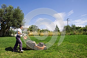 Mowing the meadows