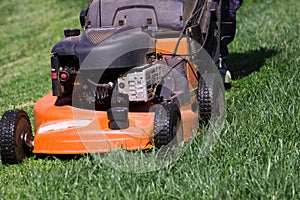 Mowing the meadows