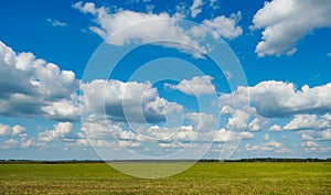 A mown wheat field and fluffy clouds. The field after harvesting grain crops. Harvest season
