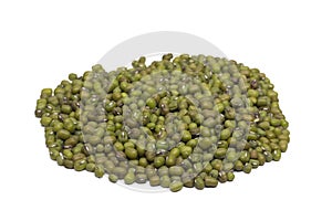 Moyashi beans in white background