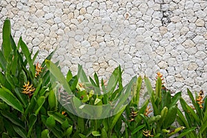 Mozaik wall, close up