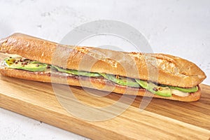 Mozzarella avocado sandwich