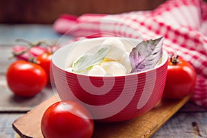 Mozzarella and basilicas