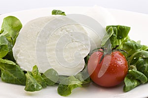 Mozzarella bufala and salad