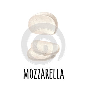 Mozzarella cheese half and slices. Vector color icon isolated on white photo