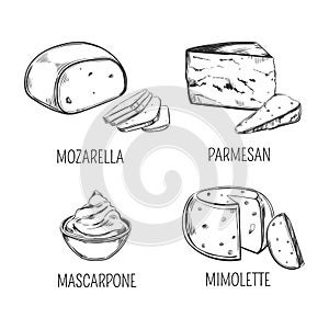 Mozzarella cheese and parmesan, mimolette sketches