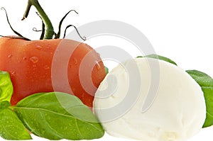 Mozzarella cheese, tomato and fresh basil