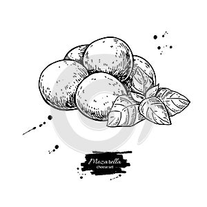 Mozzarella cheese vector drawing. Hand drawn baby mozzarella