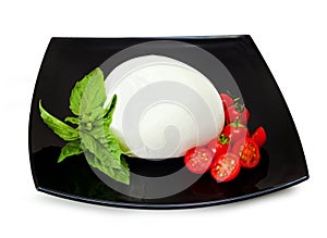 Mozzarella di Bufala, fresh cheese, italian dairy product.