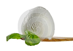 Mozzarella di bufala photo