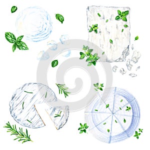 Mozzarella, feta, ricotta and bri cheese collection with provence herbs. Watercolor illustration isolated on white