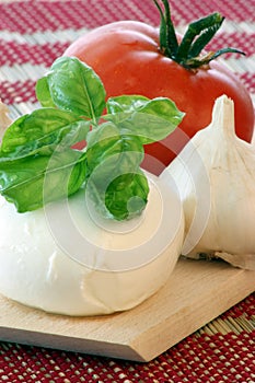 mozzarella with fresh organic basil leaf