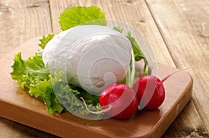 Mozzarella, lettuce and radishes