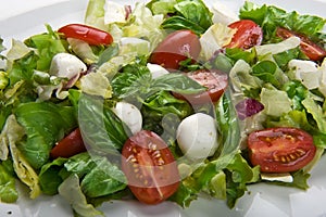 Mozzarella salad