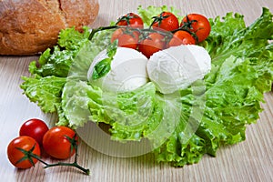 Mozzarella, salad and tomatoes