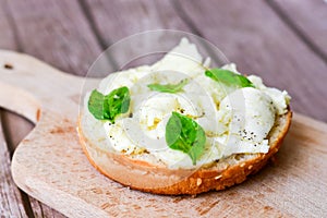 Mozzarella sandwich