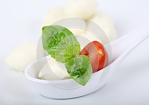 Mozzarella with tomato and basil