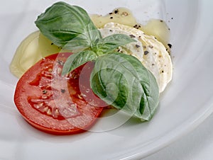 Mozzarella, tomato and basil on white plate