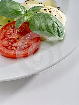 Mozzarella, tomato and basil on white plate